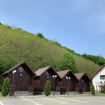 Pensiunea Cleja Dobric Exteriér fotografie